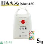 ショッピング米 5kg 送料無料 米 お米 米5kg もち米 きぬのはだ 令和5年産 秋田県産 農家直送 古代米お試し袋付き