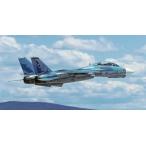 1/72 F-14A トムキャット “トップガン” ハセガワ 02293 プラモデル