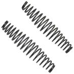 [ почтовая доставка ] близко правильный (chikamasa) coil spring 2 штук SP-10 4967645071504 [....]
