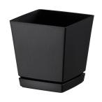  Yamato kenchi low pot тарелка есть 4 номер 0.6L черный 4903266721619 [ семья садоводство посадочная машина ]