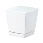  Yamato kenchi low pot тарелка есть 5 номер 0.8L белый 4903266721633 [ семья садоводство посадочная машина ]