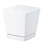  Yamato kenchi low pot тарелка есть 6 номер 1.4L белый 4903266721695 [ семья садоводство посадочная машина ]