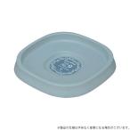  Apple одежда - растения plate 260 type светло-серый 4905980415423 [ семья садоводство . тарелка plate ]