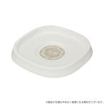  Apple одежда - растения plate 290 type белый 4905980415515 [ семья садоводство . тарелка plate ]