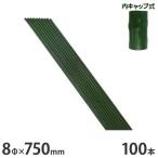  Synth i садоводство фигурная скобка бородвка есть / внутри колпак тип 8φ×750mm×100 шт. комплект [8mm 75cm 0.75m сталь труба paul (pole) сельское хозяйство бамбук бородвка бамбук садоводство для фигурная скобка ]