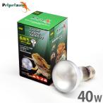  strong автобус King спот лампа 40W ( днем для солнечный свет . теплоизоляция лампочка ) [zen acid освещение рептилии разведение домашнее животное домашнее животное Zone ]