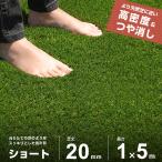  настоящий искусственный газон roll 1m×5m Short specification ( газонная трава длина 20mm/ матирующий specification ) AT-ST200-105 [ искусственный газон газонная трава сырой FIFA одобрено завод коврик матовый ]