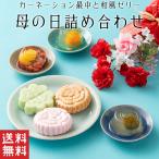 敬老の日 限定 和菓子 詰め合わせ (6個入) カーネーション 最中 もなか ゼリー 水ようかん 抹茶 白あん 和菓子 ギフト スイーツ 送料無料 お供え
