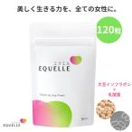 大塚製薬 エクエル パウチタイプ 120粒