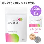 6袋セット エクエル 大塚製薬 パウチタイプ 120粒