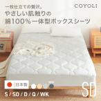 �{�b�N�X�V�[�c ��100% ��̌^�{�b�N�X�V�[�c �Z�~�_�u�� ���{�� COYOLI �~���p�b�h��̌^ �V�[�c �R�b�g�� �I�[���V�[�Y�� 21645