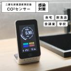 二酸化炭素濃度測定器 CO2濃度センサー 4.3インチ アラーム付 USB-TYPE-Cケーブル付 NDIR方式 E20011-0010