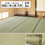 【メーカー直送品】国産 い草風上敷 天草 本間3帖 約191×286cm 抗カビ 消臭 い草100％ 双目織 四方縁 日本製 ラグ カーペット 和風敷物 h38337