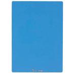 レイメイ藤井 下敷 再生ペット ブルー U140A