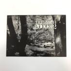  на данный момент товар TRIUMPH 2000 MK2 каталог 