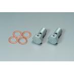  высокая точность банджо болт M10 серебряный 2 штук ввод [ почтовая отправка рейс ]