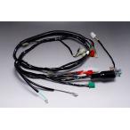 12V автомобиль li. главный жгут комплект 