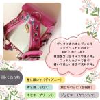  premium Mini ранец +2 специальная опция музыкальная шкатулка 