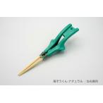 箸ぞうくん ナチュラル N-1 交換箸先5膳付 ウインド