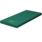 ソフィア  防水タイプ ＜モルテン＞