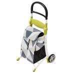 スマイルキャリー グレー 118000 特殊