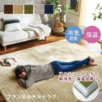 ラグ 滑りにくい 暖かい 保温 蓄熱 断熱 アルミ 無地 グレー 約200×240cm ホットカーペット対応 イケヒコ