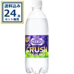 ショッピングウィルキンソン アサヒ ウィルキンソン タンサン クラッシュダブルグレープ 500ml×24本×1ケース (24本)※一部地域・離島は送料別途必要