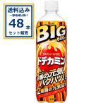 ドデカミンBIG アサヒ 600ml×24本×2ケ�