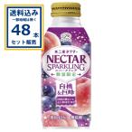 (SALE)【賞味期限2026年5月2日】 伊藤園 不二家 ネクタースパークリング白桃＆巨峰 380ml×24本×2ケース (48本)(送料無料 、一部地域は除く) 爆買