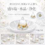 盛り塩 交換不要 皿付きセット 浄化セット 風水オルゴナイト 水晶 パワーストーン さざれ石 お清め 盛り塩セット 玄関 水回り