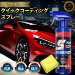 車用ナノコーティング剤 コスパ最強 大容量500ml クロス付き 洗車セット 撥水 艶出 手入れ簡単 光沢 保護 ゴルフ