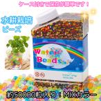 水で膨らむジェリーボール 水耕栽培 ビーズ 50000個 観葉植物 ゼリーボール ぷよぷよボール  ジェルボール ケース付き ハイドロカルチャー インテリア用