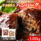 宮城の牛タン入りハンバーグ 170g×6個セット 合計1.02kgの大ボリューム ワンランク上の豪勢ハンバーグ 濃厚デミグラスソース 和風オニオンソース