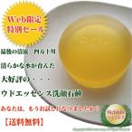 ウドエッセンス洗顔石鹸 100g 「四万十育ちのウド石鹸」 おすすめ お試し 24%OFF 「お茶石けん」よりも良いと大人気