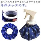 氷嚢 アイスバッグ スプレー付 アイシングバッグ 2WAY 持ち運び 熱中症対策 応急処置 冷却 水漏れ防止 氷バッグ スポーツ ゴルフ 暑さ対策 夏