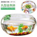 高透明度 金魚鉢 丸型金魚鉢 水槽 小型水槽 飼育水槽 ミニ水槽 ガラス メダカ 透明 おしゃれ 丸 鉢 金魚 ベタ メダカ鉢 花瓶 フラワーベース