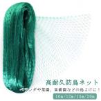  птица .. сеть защита от птиц сеть веранда поле фруктовое дерево птица .. защита от птиц сеть садоводство сеть 10m/20m голубь кошка kalas.. сеть птица . меры защита от животных сеть огород 