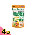ti дыра chula стиль 48 вид. departure . растения × клетчатка *. кислота .60 день минут 240 шарик 4 шт. комплект 