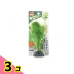 GEX.. вода . чистый растения chidomegsa1 штук 3 шт. комплект 