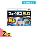 第2類医薬品 フェイタス5.0 大判サイズ 20枚 2個セット