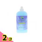 ショッピング緑の魔女 緑の魔女 トイレ用洗剤 ボトル本体 420mL 2個セット