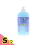 ショッピング緑の魔女 緑の魔女 トイレ用洗剤 ボトル本体 420mL 5個セット