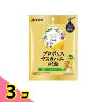 浅田飴 プロポリスマヌカハニーのど飴 60g 3個セット