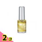 KOKOIST( здесь Ist )b ведущий чернила BI-15 металлик Gold 5mL 2 шт. комплект 