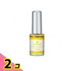 KOKOIST( здесь Ist )b ведущий чернила BI-03 желтый 5mL 2 шт. комплект 