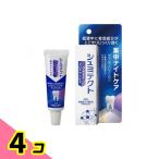 薬用シュミテクト プラチナプロテクトEX 集中ナイトケア 30g 4個セット