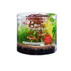 GEX.. вода . бутылка растения ro треска 1 комплект (1 шт )