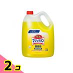 花王プロフェッショナルシリーズ バスマジックリン 業務用 4.5L 2個セット