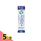 シュミテクト コンプリートワンEX 薬用ハミガキ 増量 95g (数量限定) 5個セット