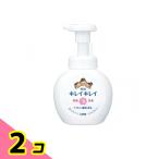  чистый чистый лекарство для пена мыло для рук citrus полный -ti. аромат насос корпус 250mL 2 шт. комплект 